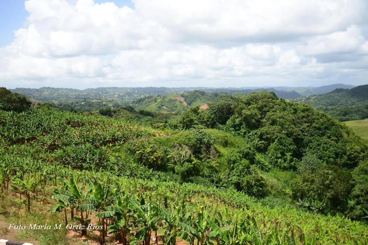 Hacienda Margarita Hotel Barranquitas Porto Rico